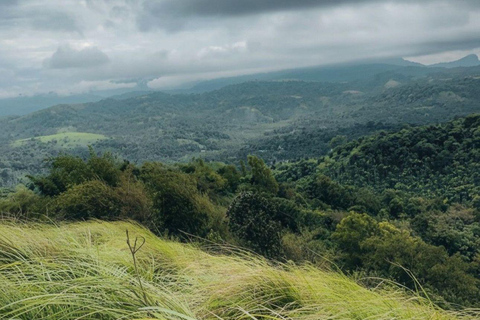 Kochi: Attappadi & Silent Valley 2-Day Tour with Meals