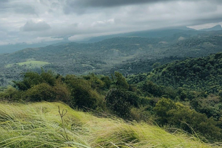 Kochi: Attappadi & Silent Valley 2-Day Tour with Meals