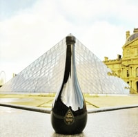 Saint-Émilion, Visit of a family vineyard & tasting - Housity