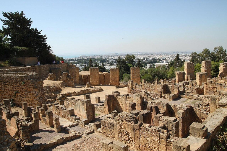 Tunis :VIP Tour – Medina,Carthage&Sidi BouSaid,All-Inclusive