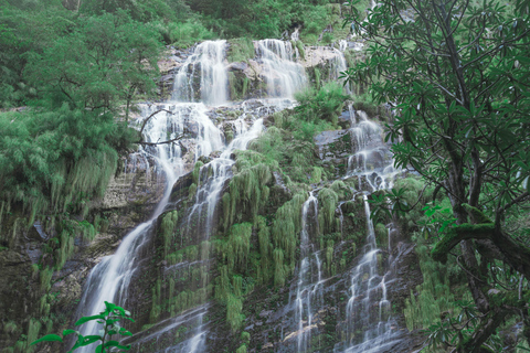 Kathmandu: Annapurna Sanctuary Wellness Trek ABC & Poon Hill From Pokhara: Standard package - Essential Adventure