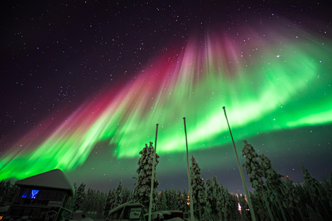 Rovaniemi: Northern Lights Tour – Guaranteed with Photos Small-Group Northern Lights Tour – Guaranteed with Photos