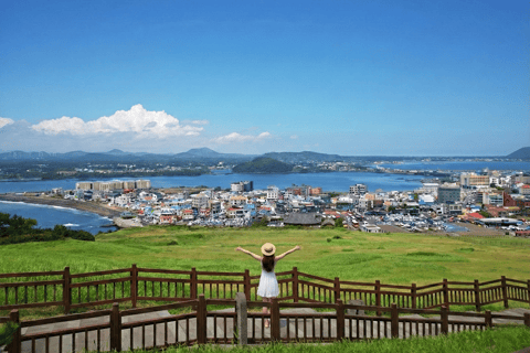 Jeju Island: Udo Island, Rail Bike, and Market Day Tour Private Tour (1-6pax) [9hr]
