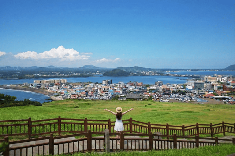 Jeju Island: Udo Island, Rail Bike, and Market Day Tour Private Tour (1-6pax) [9hr]