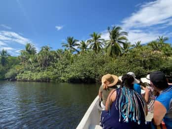 Huatulco Ecotour: Explore La Ventanilla, Mazunte & Zipolite