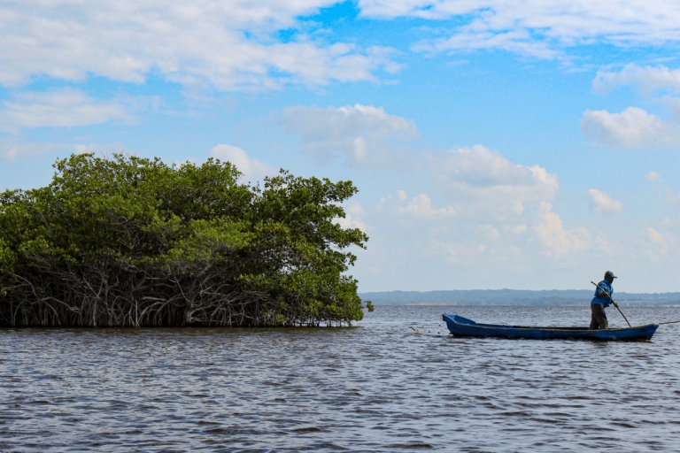 Van Veracruz: natuur- en zeevruchtenboottocht naar Madinga