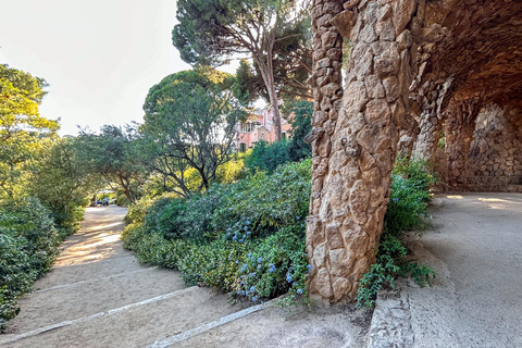 Barcelona: Park Güell Guided Tour with Skip the Line Ticket Spanish Tour
