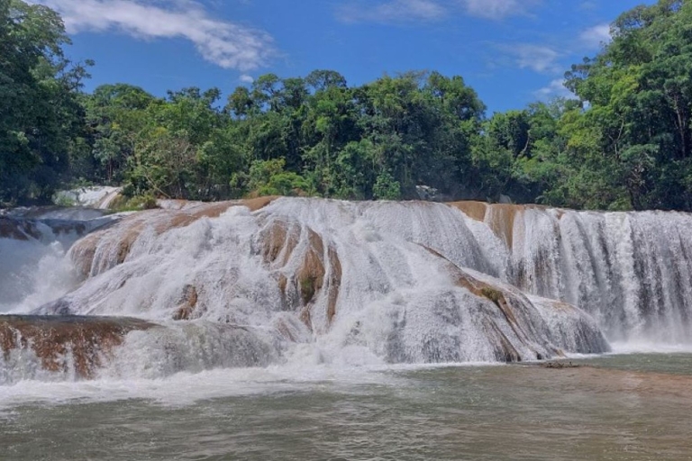 Depuis Palenque : excursion à Misol-Ha et aux chutes d'eau d'Agua Azul