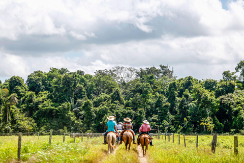 Martinique: Scenic Horseback Ride to Macabou Beach