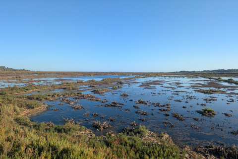 Guided buggy Passenger tour Alvor Ria wetlands