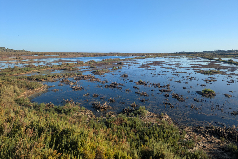 Guided buggy Passenger tour Alvor Ria wetlands