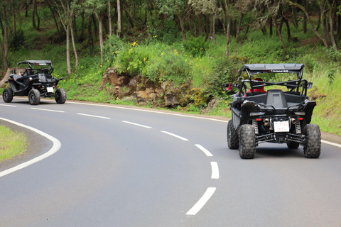 Puerto de la Cruz : excursion en buggy dans le parc national du Teide, au pays lunairePuerto de la Cruz : excursion en buggy dans le parc national du Teide, au cœur d&#039;un paysage l