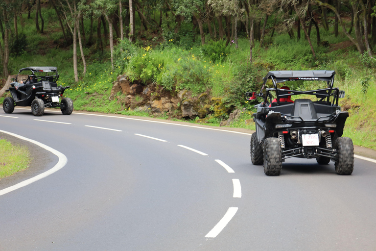 Puerto de la Cruz : excursion en buggy dans le parc national du Teide, au pays lunairePuerto de la Cruz : excursion en buggy dans le parc national du Teide, au cœur d&#039;un paysage l