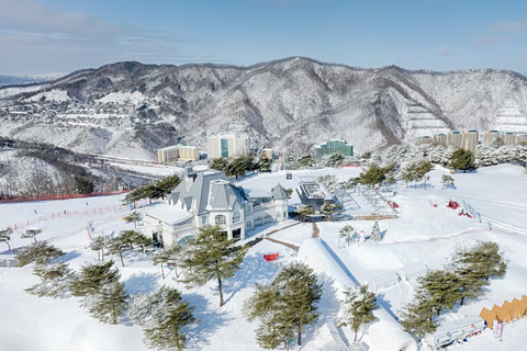 Vivaldi Park_ Snowyland Snow Fun med Seoul Shuttle[8.00 Hongik] Inträde till Snowyland