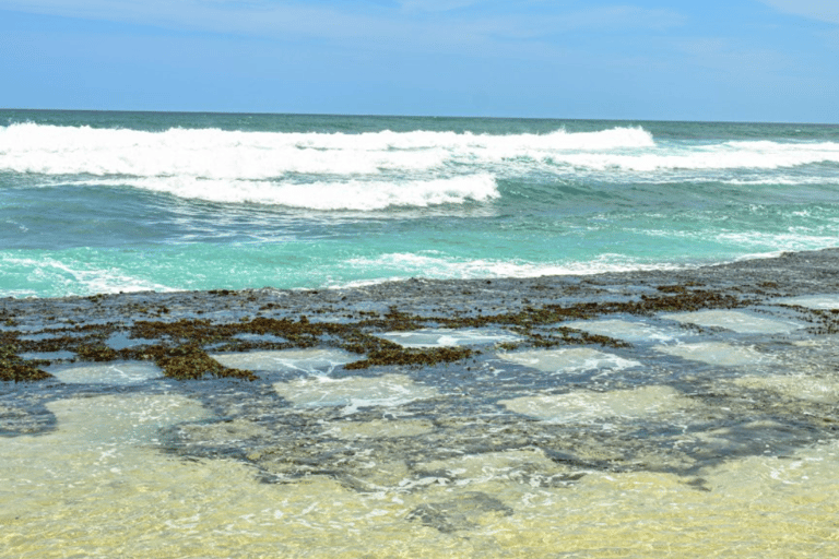 Explore the Southern Coast of Sri Lanka with Mr.Scooter($40)