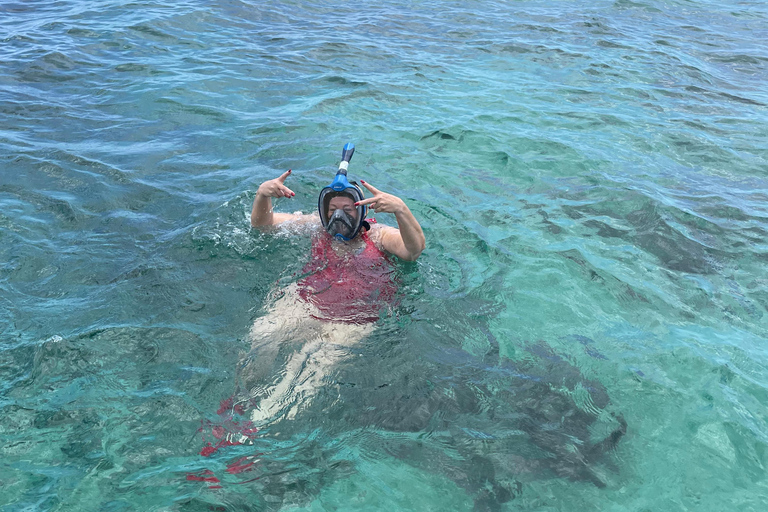 Crucero en Catamarán con Fiesta y Snorkel desde Montego Bay