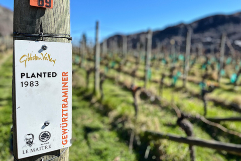 Excursión de degustación de vinos en helicóptero por Queenstown