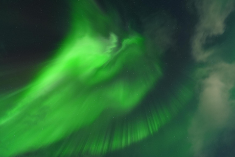 Tromsø: English/Spanish Aurora Pathfinder Tour with Photos Tromsø: English/Spanish Aurora Hunting Private Minibus Tour