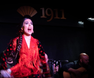 Madrid: Flamenco Show&Drink at Tablao 1911 (World's Oldest)