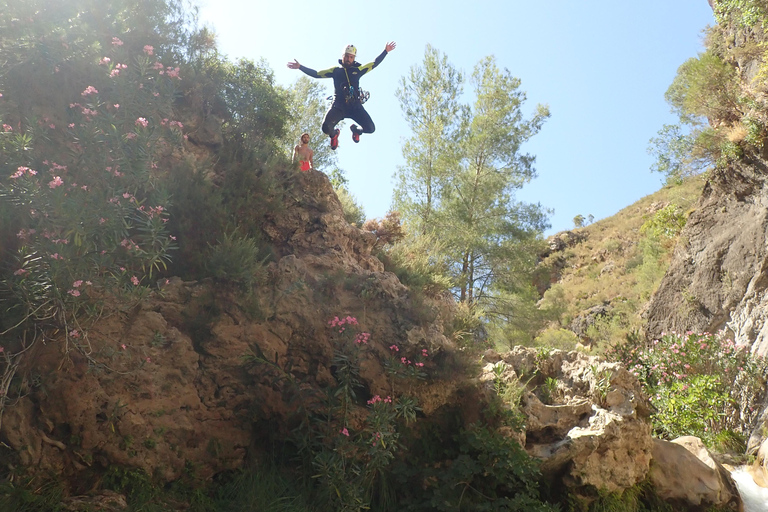 Granada & Malaga: Río Verde Canyon, Turquoise Water Jumps Private Tour