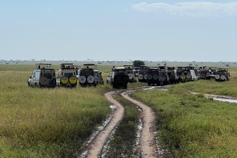 Excursion privée d'une journée dans le cratère du Ngorongoro
