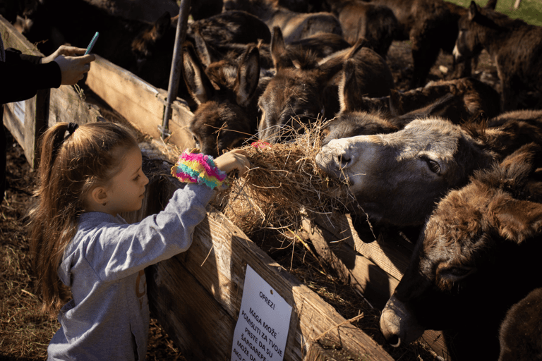 From Budva: Tour of Donkey Farm