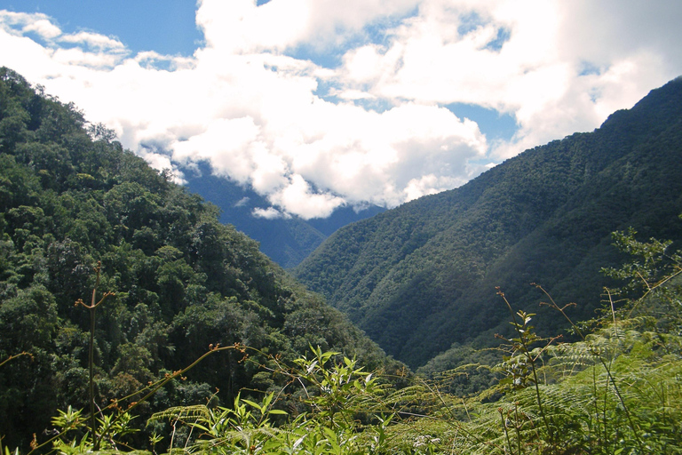 تشورو تريك مغامرة مثيرةتشورو تريك، مغامرة مثيرة