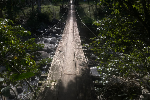 Paraty: Serra da Bocaina National Park Guided Hike