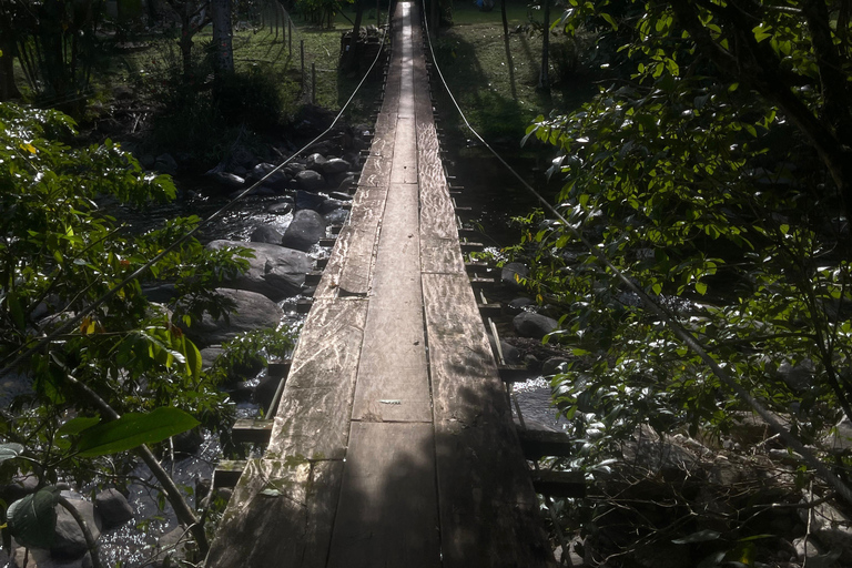 Paraty: Serra da Bocaina National Park Guided Hike