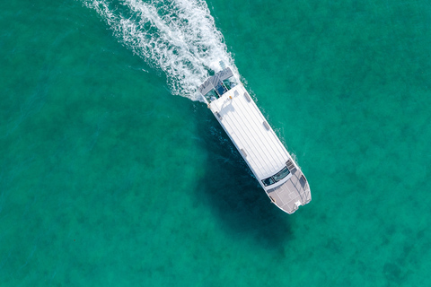 Phuket: Phi Phi Islands Premium Catamaran Tour Max 28 pax