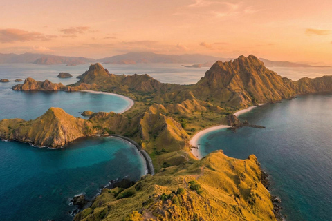 From Gili Trawangan: Whale Shark & Komodo 4-Day Adventure
