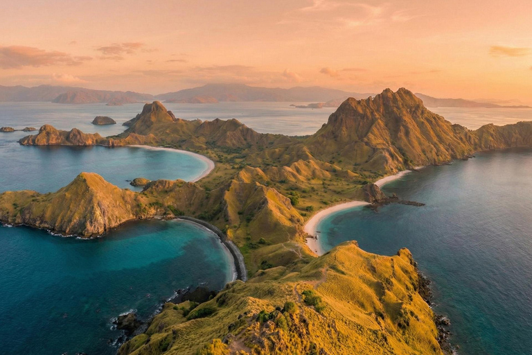 From Gili Trawangan: Whale Shark & Komodo 4-Day Adventure