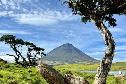 Pico island: highlights, wine tasting and local gastronomy