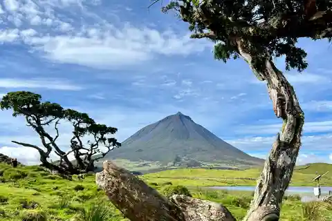 Pico island: highlights, wine tasting and local gastronomy