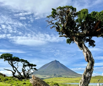 Pico eiland: hoogtepunten, wijnproeven en lokale gastronomie