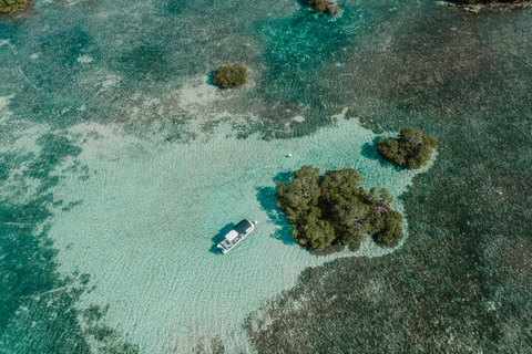 Guadeloupe: Magical half-day boat trip: mangrove, islet, snorkeling. Guadeloupe: Magical 1/2-day boat trip: mangrove, islet, snorkeling.