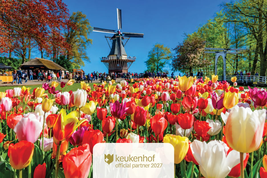 Amsterdam : billet pour le Keukenhof avec transfert et guide en option
