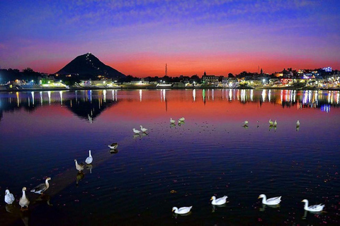 Jaipur (Pink City) with Pushkar Tour (03 Nights / 04 Days)