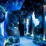 Toronto: Arcadia Earth, un'esperienza immersiva con un biglietto in qualsiasi momento