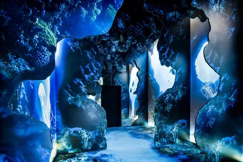 Toronto: Arcadia Earth, Immersive Experience Anytime Tickets