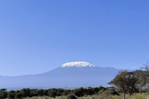 Nairobi: 4 Days epic trip to Amboseli, Tsavo West & East