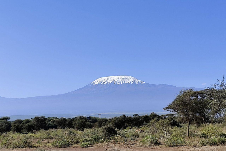 Nairobi: 4 Days epic trip to Amboseli, Tsavo West & East