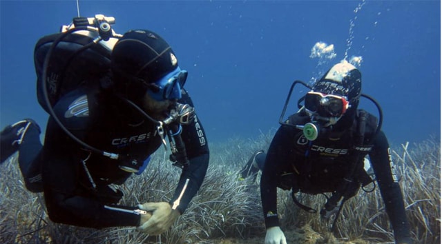 Paros: Discover Scuba Diving & Underwater Exploration