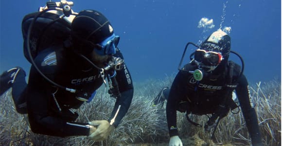 Paros: Discover Scuba Diving & Underwater Exploration