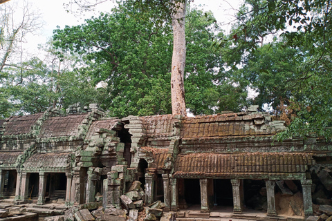 Siem Reap: Jednodniowa wycieczka do Angkor Wat i świątyni Banteay Srei