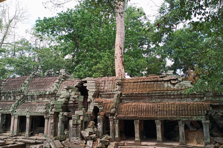 Siem Reap: Angkor Wat and Banteay Srei Temple Day Tour