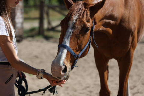Horse Sanctuary in Rome Elevating the Ride: Summer in the Simbruini Mountains
