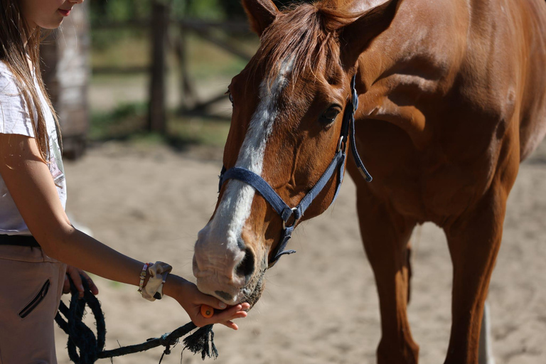Horse Sanctuary in Rome Elevating the Ride: Summer in the Simbruini Mountains