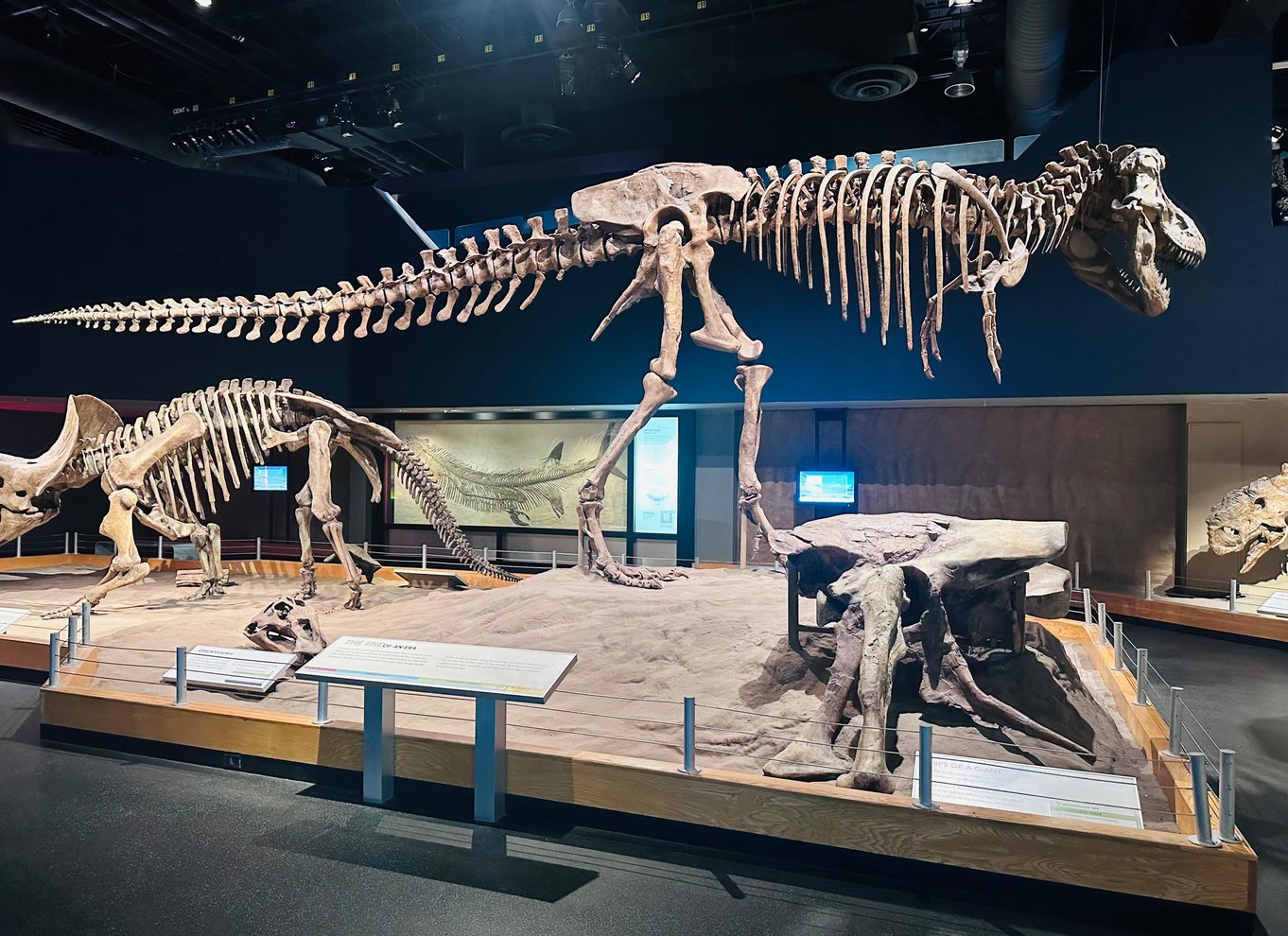 Badlands-tur: Drumheller med museum, hoodoos og dinosaurer