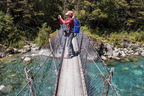 Te Anau: Lake Marian Guided Day Hike with Lunch